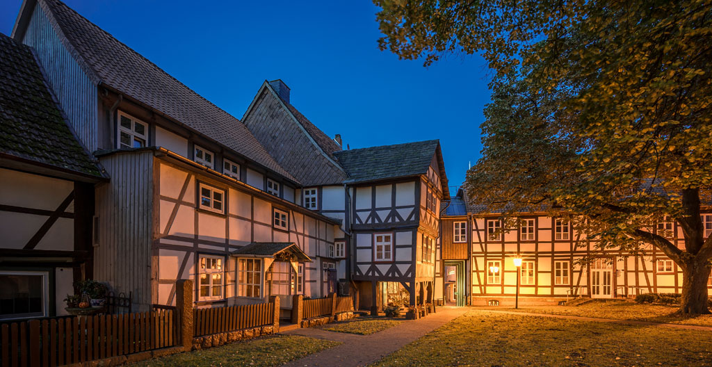 Extreme close-up of natural wood grain texture showing organic patterns and sustainable material characteristics in warm natural light